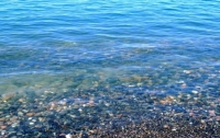 Алла Беляева: наилучшее качество морской воды – от территории бетонного завода до реки Гумиста